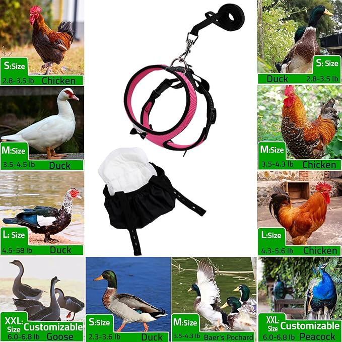 Adjustable Chicken Harness Diaper (5.4ft Leash) – Breathable & Washable Secure Training for Hens, Ducks & Chicks | Outdoor Walking & Discipline Solution