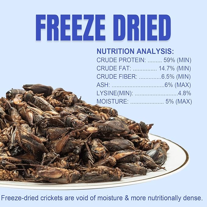 Amzey Appetizing Mealworms Natural Dried Crickets - Food for Bearded Dragons, Wild Birds, Chickens, Fish - (8 oz Resealable Bag) - Veterinary Certified
