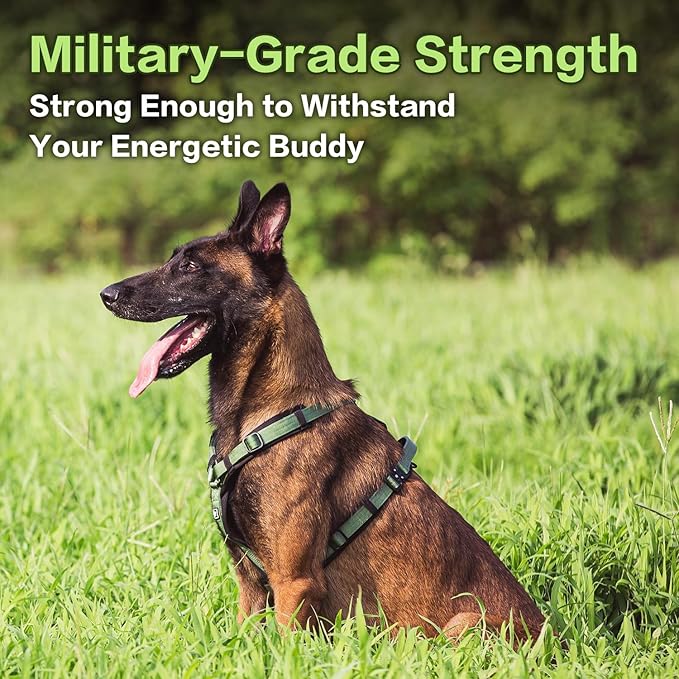 PawsPassion Dog Harness for Large Dogs, No Pull Dog Harness Easy Walk with Metal Hardware, Ergonomic Y-Shaped Design, Soft Padding, Padded Handle, Durable High-Tensile Nylon (Evergreen, L)