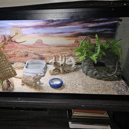 Bearded Dragon Resin Triceratops Skull Hide Decoration Reptiles Artificial Hideout Cave Landscape Tank Accessories Vines Leaves Hideaway Ornaments for Lizards Snake Gecko