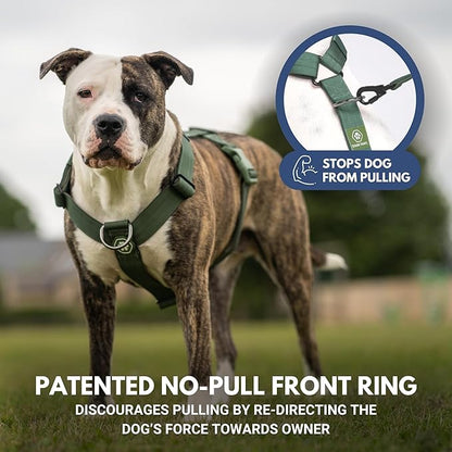 Spark Paws No Pull Dog Harness for Large Dogs, Heavy Duty Dog Harness for Big Strong Breeds, Adjustable, Y Shaped Padded Halter Design with Front Clip - Solid Green – L