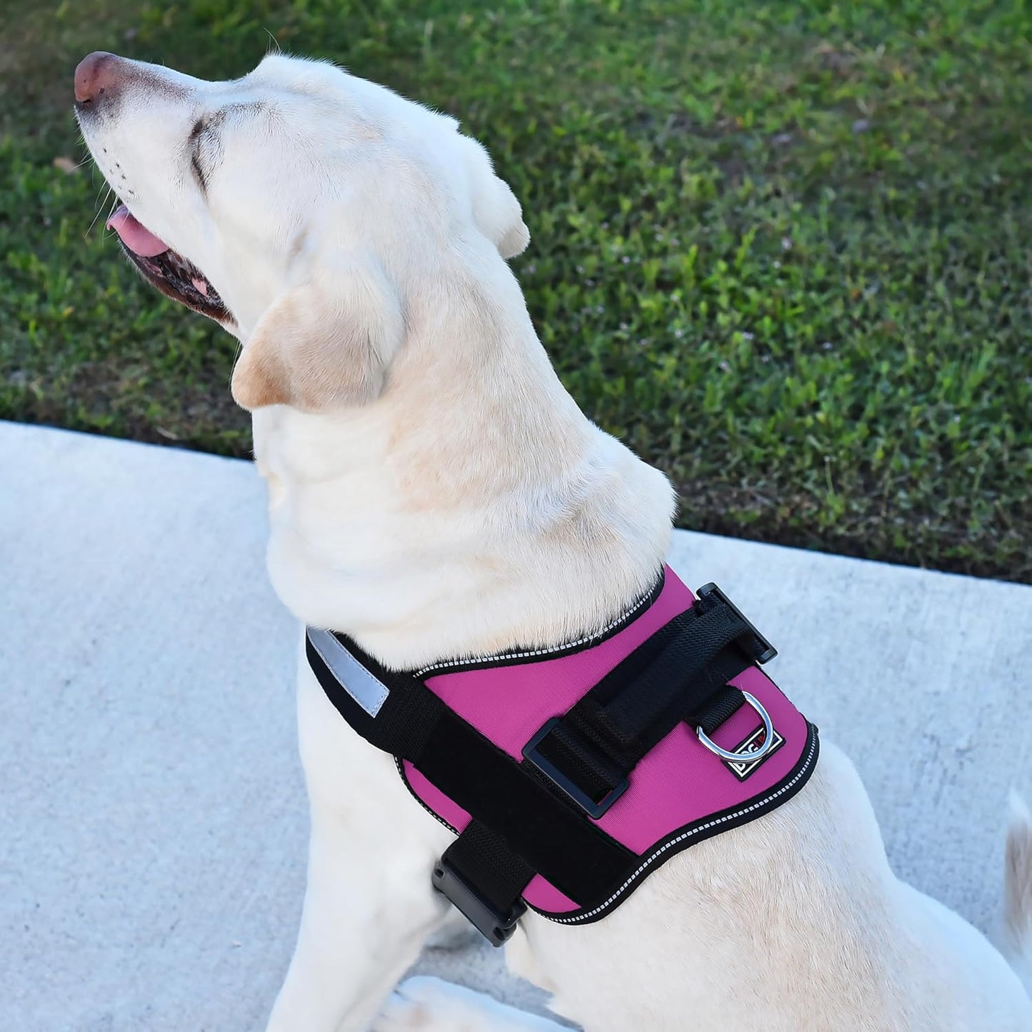 Dogline Dog Harness, Reflective No-Pull Adjustable Vest with Handle, Breathable No-Choke Harness for Small, Medium or Large Dogs Room for Patches Girth 27 to 34 in Pink