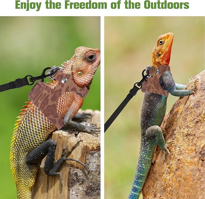 Bearded Dragon Lizard Leash Harness 3 Size Pack Leopard Print Lizard Harness Leash for Outdoor Small Reptiles Animal Squirrels (Brown)