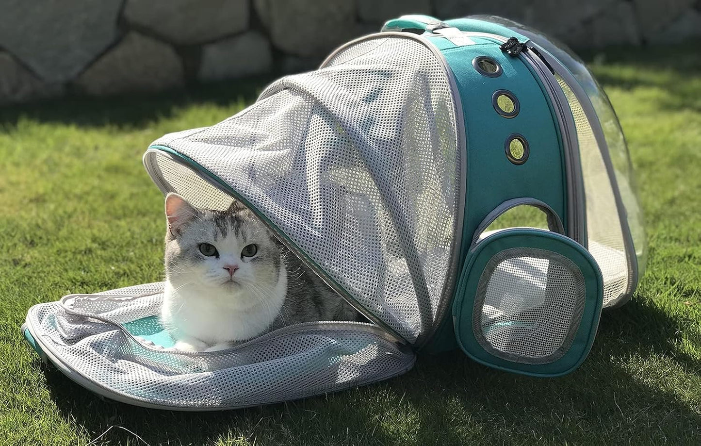 Galaxy Blue Dual Expandable Cat Backpack Carrier, Fit up to 20 lbs, Expandable Pet Carrier Backpack for Large Fat Cat and Small Puppy