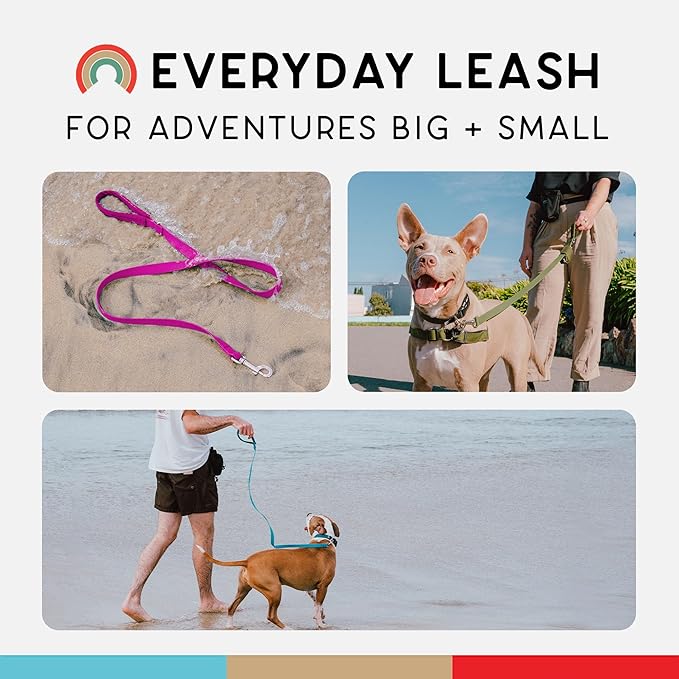 Wildebeest Funston Waterproof Dog Leash - Heavy Duty 4ft Long Leash for Small, Medium and Large Dogs - 1000D Nylon, Scratch & Stink-Resistant & Pill-Free - Nylon Wrap Handle (3/4" Wide, 4 ft Length)