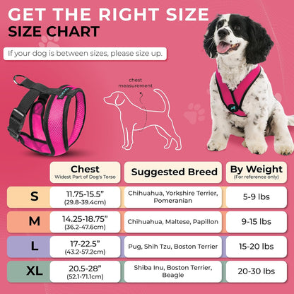 Gooby Comfort X Head In Harness - Flamingo Pink, Medium - No Pull Small Dog Harness Patented Choke-Free X Frame - On the Go Dog Harness for Medium Dogs No Pull or Small Dogs for Indoor and Outdoor Use