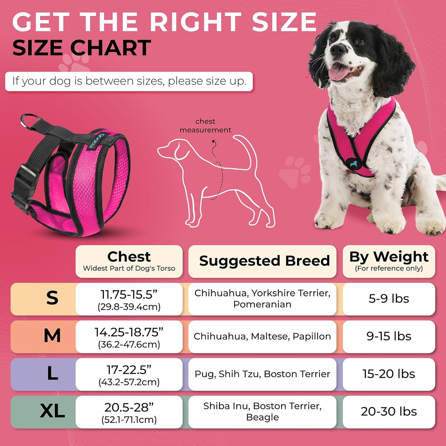Gooby Comfort X Head in Harness - Flamingo Pink, Small - No Pull Dog Harness with Patented Choke-Free X Frame for Small to Medium Dogs Indoor/Outdoor Use