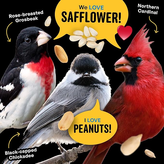 Safflower, Nuts & Hearts Wild Bird Seed – 10 lb. Gourmet Bird Food with Safflower, Sunflower Hearts & Peanuts – No Corn, Milo or Millet, No Waste Bird Food for Outside Feeders