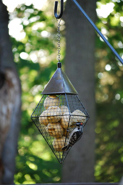 Wildlife Sciences Suet Balls 24 Pack, 6 Individually Wrapped Packs of 4 Bird Suet Balls (Insect and Nuts)