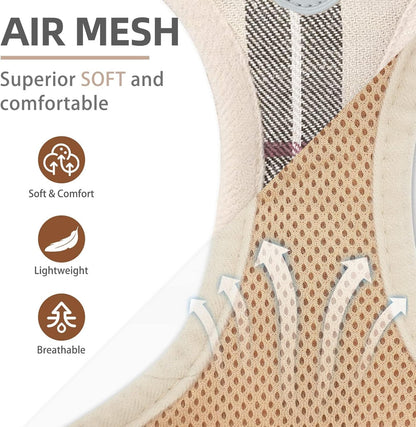 PUPTECK Adjustable Pet Harness Collar &Leash Set Step in for Small Dogs Puppy &Cats Outdoor Training &Running, Soft Mesh Padded Reflective Vest Harness,M: Chest girth: 16-18in Collar: 11.8-15.7in