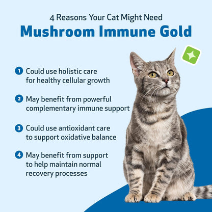 Pet Wellbeing Mushroom Immune Gold for Cats - Vet-Formulated - Immune Support with Reishi, Maitake, Turkey Tail, and Milk Thistle - Complementary Functional Mushroom Supplement 8 oz (237 ml)