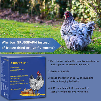 Premium Chicken Treats 5LB - Non-GMO & 85X More Calcium Than Meal Worms - Molting & Laying Supplement - BSF Larvae Treats for Layer Hens, Ducks Wild Birds