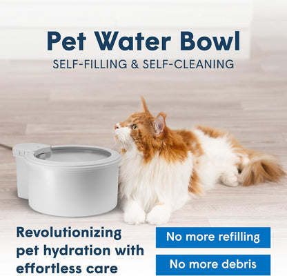 Always Full® 9" Pet Water Bowl and Bottle Pump Bundle, Self-Refilling, Clean Filtered Water, App-Enabled Hydration Monitoring, Easy Upgrade to Wall Unit, Cat and Dog Water Bowls
