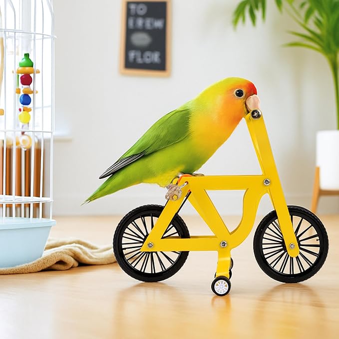 Bird Intelligence Training Toy Mini Bicycle Parakeet Parrot Bike Trick Educational Puzzle Bird Foot Talon Toy for Small Medium Lovebird Conures Cockatoo Exercising Interactive Table Top Prop, Large