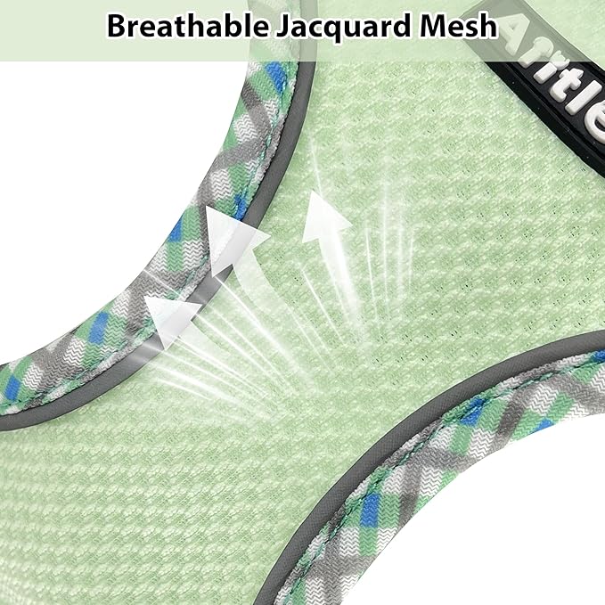 AIITLE XXS Dog Harness & Leash Set - Breathable Reflective No-Choke Small Dog Harness for Teacup Puppies, Indoor/Outdoor Use - Boston Terrier, Maltese, Chihuahua (Sage, XXS)