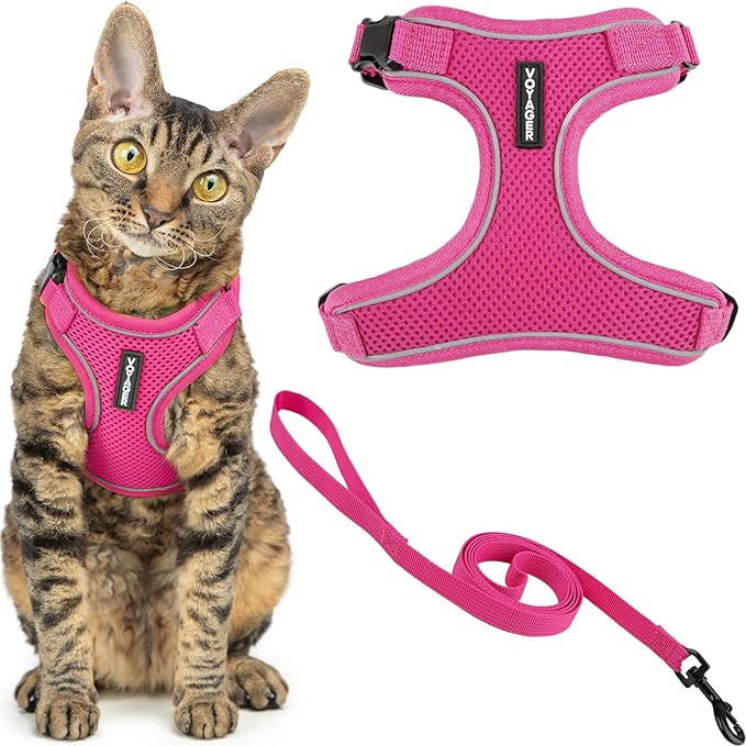 Voyager Escape Proof Cat Harness and Leash Set with Reflective Stitching, Neoprene Handle 5ft - Supports Small, Medium and Large Cats, Kittens for Walking by Best Pet Supplies - Fuchsia, S