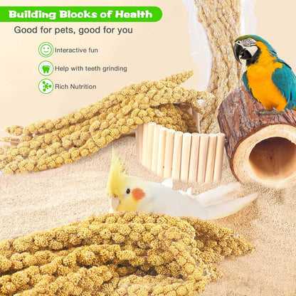 Millet for Birds 1.2LB, Natural Sun-Dried Spray Seed No Stems Only Edible Tops for Parakeet, Budgies, Finches, Cockatiels, Parrots, Lovebird, Hamster and Other Pets Treat