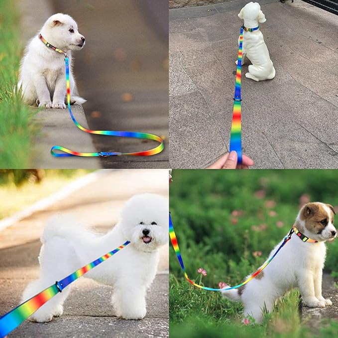 Rubber Waterproof Dog Collar and Leash Set for Small Dogs,Puppy Collars Leashes,Lead,Training Leash Easy Clean for Pets,Cats (for Medium Small Dogs)