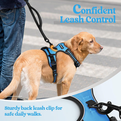 rabbitgoo Dog Harness No Pull with 2 Leash Clips, Adjustable Soft Padded, Reflective Oxford No Choke Pet Vest with Easy Control Handle for Large Dogs, Blue, L
