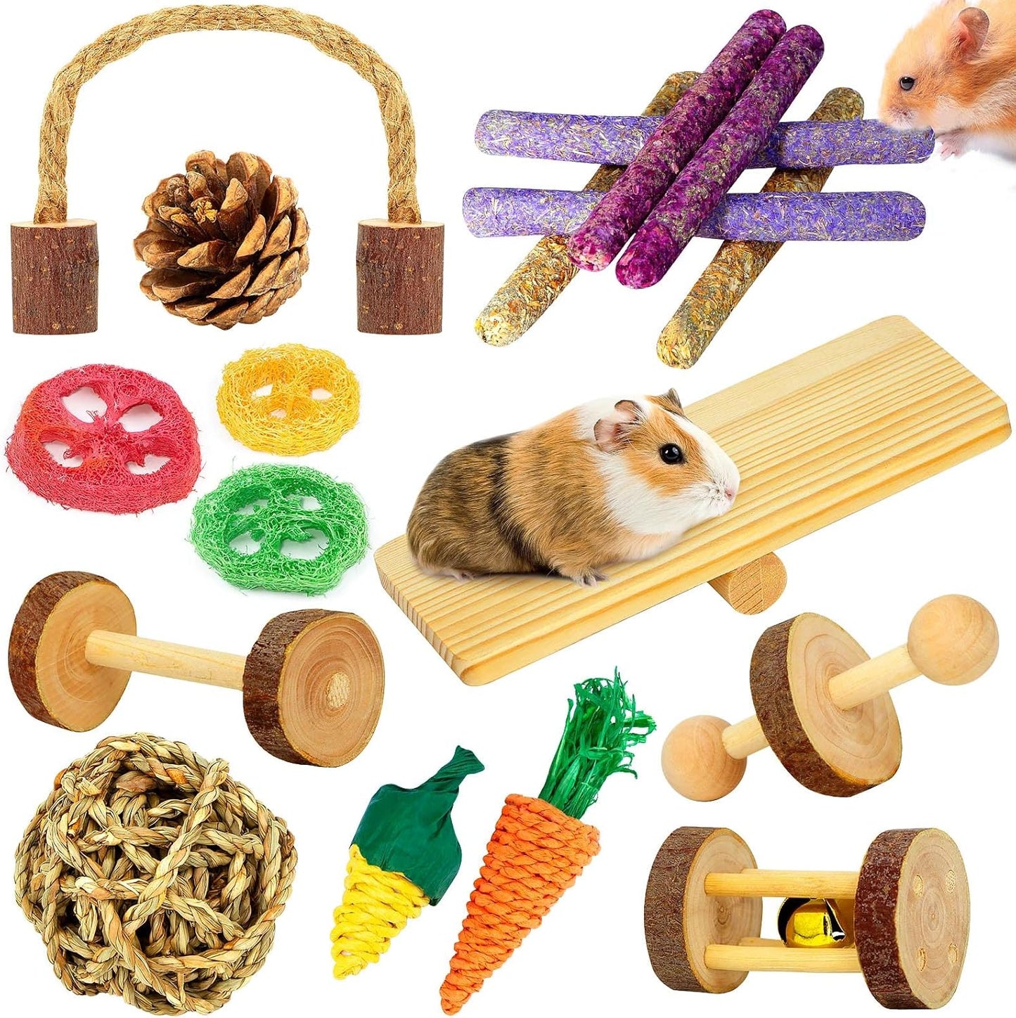 Hamster & Guinea Pig Toys - 18 Pcs Wooden Small Animal Chew Toys for Teeth - Rabbit, Chinchilla, Gerbils, Rats Exercise Accessories