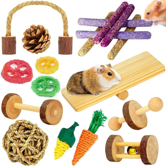 Hamster & Guinea Pig Toys - 18 Pcs Wooden Small Animal Chew Toys for Teeth - Rabbit, Chinchilla, Gerbils, Rats Exercise Accessories