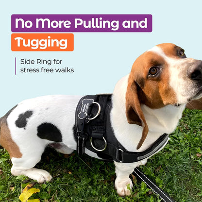 Joyride Basic Essential Dog Harness 1.0 - Small, Medium, Large Dogs, No-Pull Pet Vest with 3 Side Rings for Leash Placement, Adjustable for Training (White Plaid, XL)