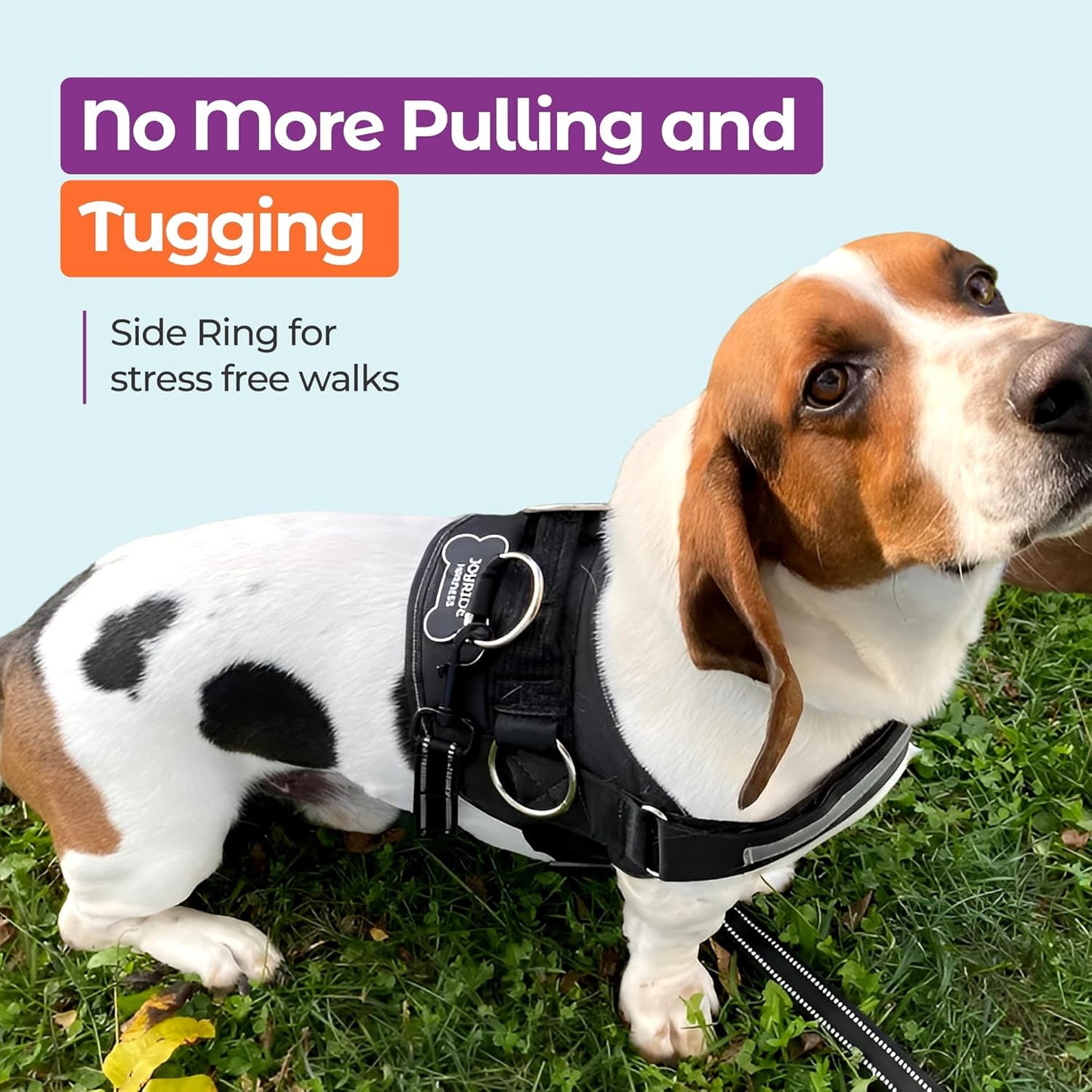 Joyride Basic Essential Dog Harness 1.0 - Small, Medium, Large Dogs, No-Pull Pet Vest with 3 Side Rings for Leash Placement, Adjustable for Training (White Plaid, 2XL)