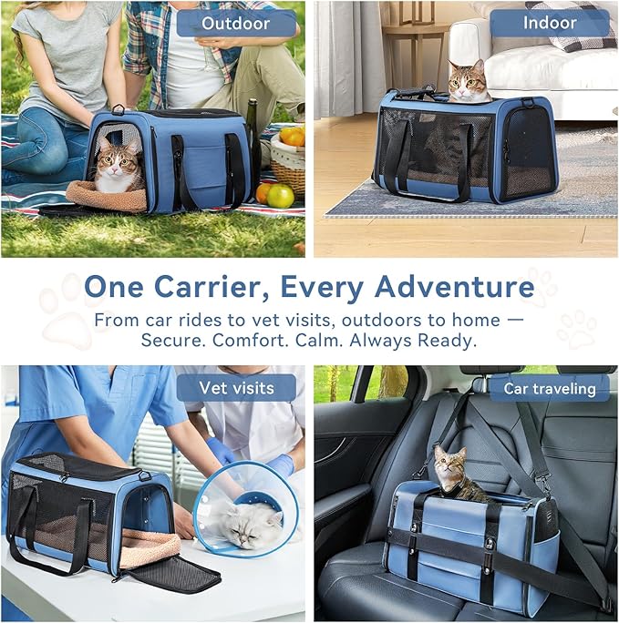 PETSFIT Cat Car Carrier for Medium Cats Dogs, 19"x12"x12" TSA Approved Pet Carrier, with Patent Safety Buckles and Escape-Proof Zipper - Safeguarding Car Travel, Vet Visit, Outdoor