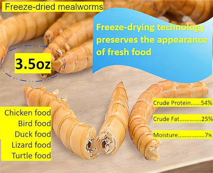 3.5oz Freeze-Dried Mealworms – All Natural High Protein Pet Food for Birds, Chickens, and Reptiles