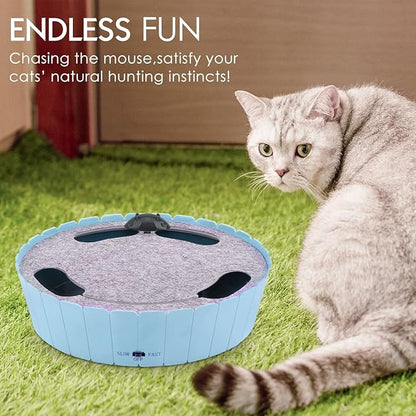 Pawaboo Interactive Cat Toy with Running Mouse, Electronic Motion Cat Toy Automatic Teaser for Indoor Cats, Pop and Play Hide Seek Cats Toys Hunting Mouse for Pet Kitten Play Fun Exercise, Blue