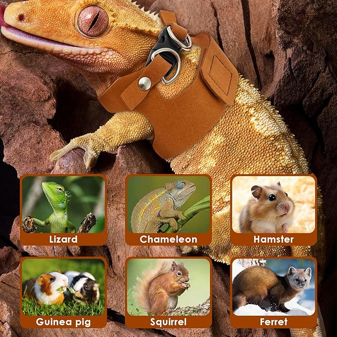 3 Pcs Bearded Dragon Harness and Leash Set, 3 Sizes Adjustable Soft Leather Lizard Harness with Leash, Small Animal Traction Rope Training Walking Vest for Bearded Dragon Lizard Squirrel