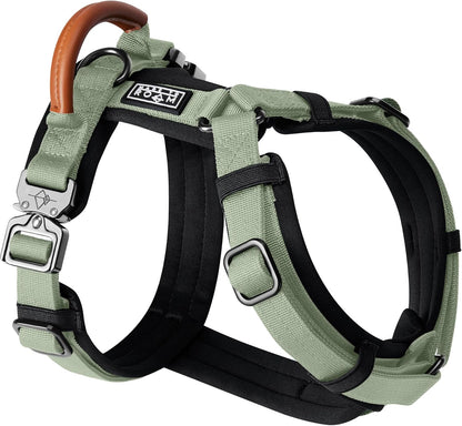 MADE TO ROAM Premium Explorer Harness - Y-Shaped Dog Harness with Adjustable Durable Nylon, Soft Padding, Metal Buckles and Leather Handle for Small, Medium, Large Dogs (Washington Rain, Size 4)