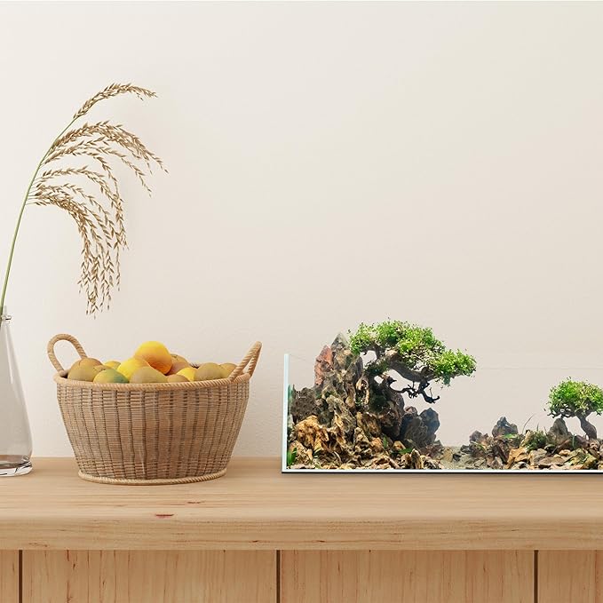 UNS Ultra Clear Rimless Tank - 10.2GAL | 38.8L - 23.62x14.17x7.08 | 60x36x18 CM, 5mm Glass Thickness, Leveling Mat Included - Low Iron, High Clarity Fish Tank w/ 45° Mitered Edge - [60S]