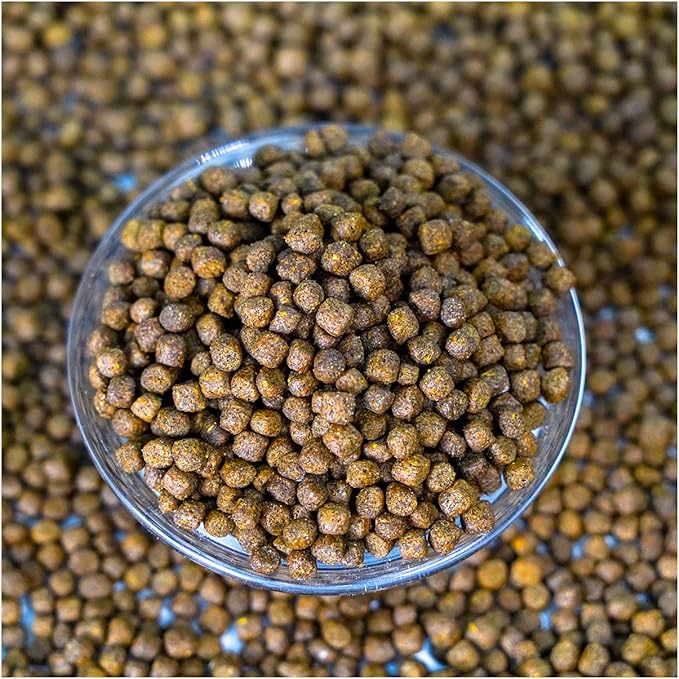 Natural Waterscapes Game Fish Food Variety | Pond and Lake Fish Food Pellets | 22 lb Bag | Feed to Bass, Bluegill, Trout, Catfish, tilapia | Floating Pellets