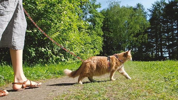 Cat Harness and Leash Set Geometric Pattern Escape Proof Adjustable for Kitty Outdoor Walking(Orange)