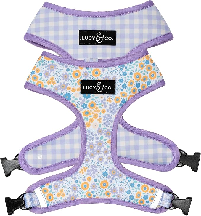 Lucy & Co. Cute Reversible Dog Harness Walking Halter - Best Designer Pet Harnesses for XS - XL Dogs - Padded Adjustable Vest for Easy Walking (X-Small, Among The Wildflowers - Purple Floral)
