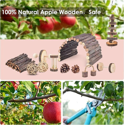 ERKOON 11 Pack Chinchillas Chew Toys, Toys Accessories for Teeth Care, Natural Apple Wood Ladder Bell Roller for Russian Hamster Gerbils Rats Guinea Pigs (11PCS)