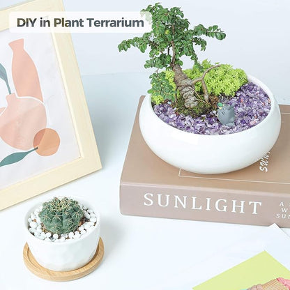 T4U Tumbled Chips Stones Crushed Crystal Quartz 2 LB, Irregular Shaped Gravels Pebble Healing Stones, DIY Smoothed Rock for Potted Plant,Resin Art,Vase Fillers Aquarium Gravel Rocks (Amethyst)