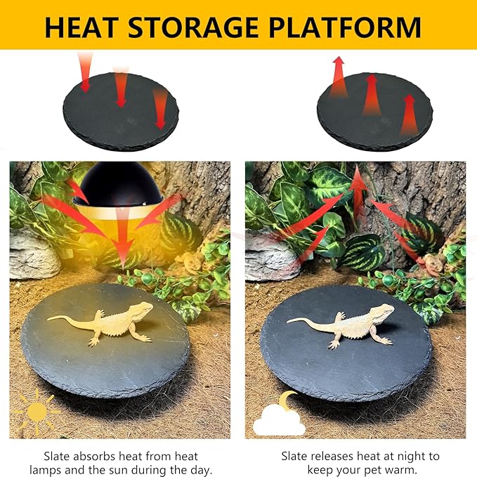 Reptile Basking Platform 2PCS 7.8IN Turtle Rock Slate Plate Feeding Plate Food Bowl Dish Tortoise Bathing Resting Terrace for Lizard Bearded Dragon Chameleon Gecko Snake Frog Newt