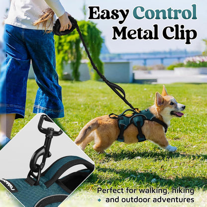 rabbitgoo Escape Proof Dog Harness Small Sized Dog, Soft Padded Full Body Pet Harness, Reflective Adjustable Vest with Lift Handle and Leash Clip for Walking Hiking Training, Dark Green, S