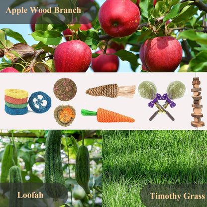 Grddaef 18 PCS Bunny Toys, Rabbit Toys Guinea Pig Toy Natural Apple Wood Grass Timothy Sticks Chew and Treat for Guinea Pigs Hamster Chinchillas