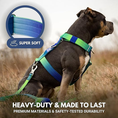 Spark Paws No Pull Dog Harness for Large Dogs, Heavy Duty Dog Harness for Big Strong Breeds, Adjustable, Y Shaped Padded Halter Design with Front Clip - Lime Wave - S