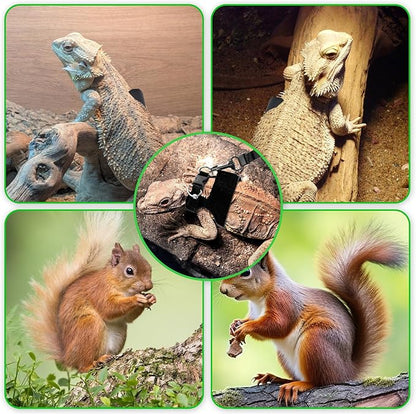 3 Pcs Escape Proof Bearded Dragon Harnesses and Leash Set, 3 Sizes Adjustable Soft Leather Lizard Leash Harness Small Animal Walking Vest for Squirrel Rat Bearded Dragon Lizard Small Reptiles