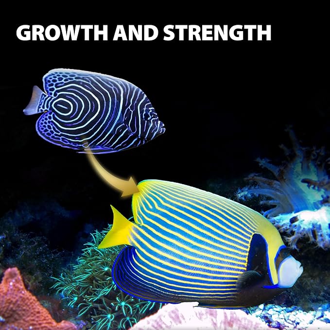 Purify Series for Marine Fish Food, Saltwater Fish Sinking Pellets, Suitable for Clown Fish, All Natural Ingredients, 2.65 oz (Pack of 1)