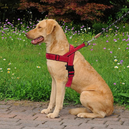 Red No Pull Dog Harness for Small Medium Large Sized Dog, Reflective Escape Proof Adjustable Dog Harnesses with 2 Patch, S