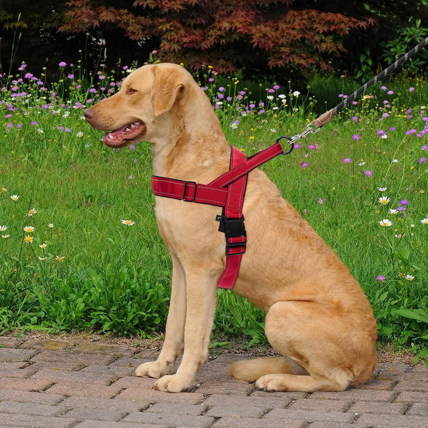 Red No Pull Dog Harness for Small Medium Large Sized Dog, Reflective Escape Proof Adjustable Dog Harnesses with 2 Patch, XL