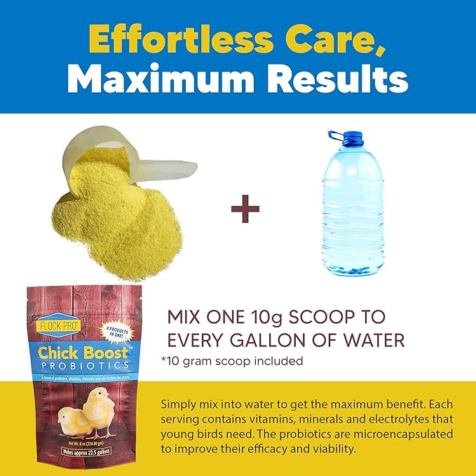 Equerry's Flock PRO Chick Boost Probiotic - Probiotics, Vitamins, Minerals and Electrolytes for Chickens | Chicken Vitamins and Supplements for All Poultry - 8oz
