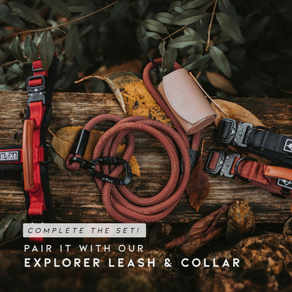 MADE TO ROAM Premium Explorer Harness - Y-Shaped Dog Harness with Adjustable Durable Nylon, Soft Padding, Metal Buckles and Leather Handle for Small, Medium, Large Dogs (Utah Glow, Size 7)