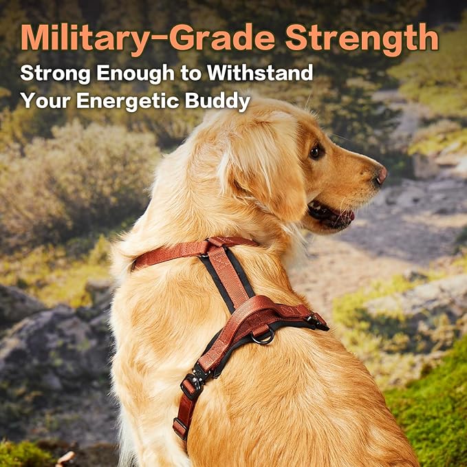 PawsPassion Dog Harness for X-Large Dogs, No Pull Dog Harness Easy Walk with Metal Hardware, Ergonomic Y-Shaped Design, Soft Padding, Padded Handle, Durable High-Tensile Nylon (Canyon Red, XL)