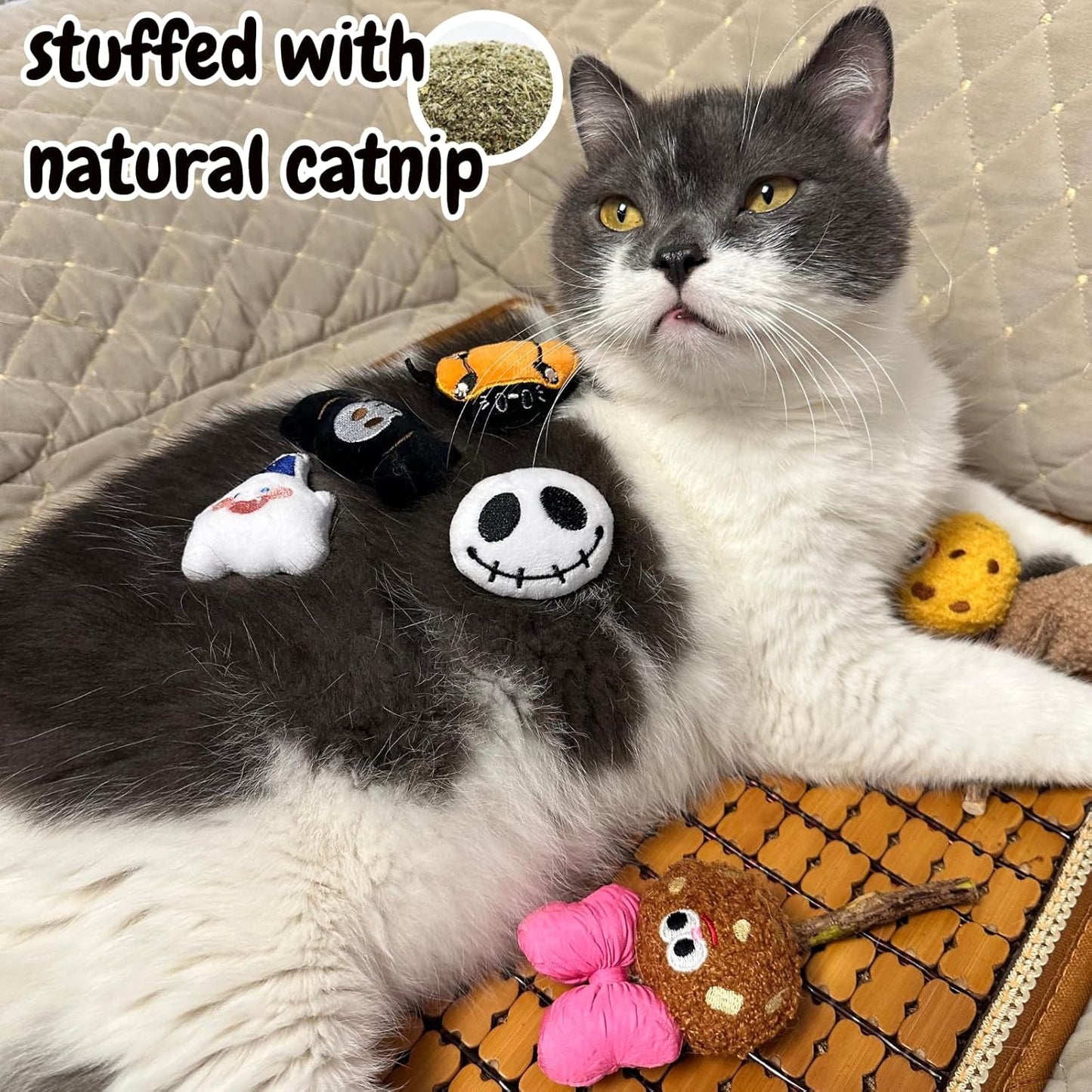 6 Pack Catnip Toy, Filled Teething Chew Toys, Interactive Kitten Chew Bite Toys for Boredom Relief, for Cats and Cat Lovers